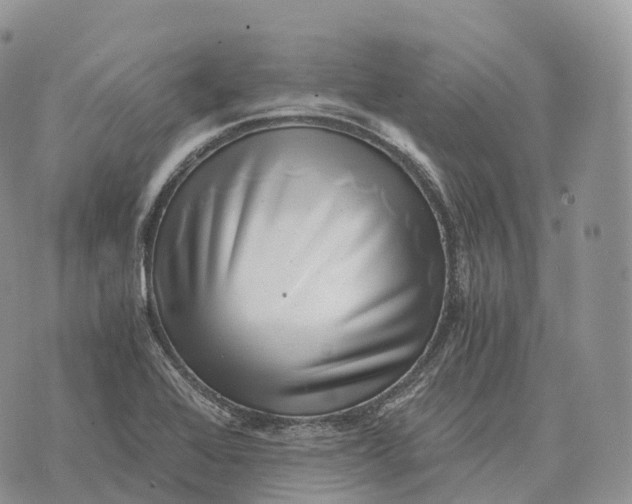 X0000072981368200608111731