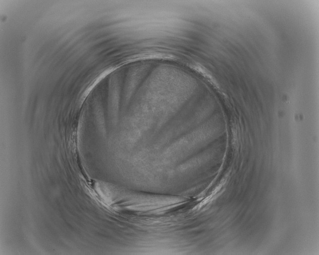 X0000072981369200608111731