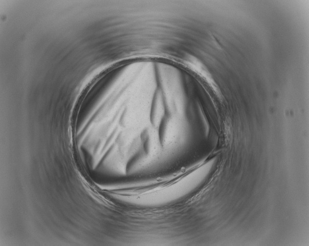 X0000072981372200608111730