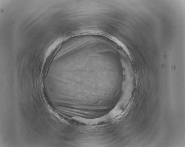 X0000072981373200608111730