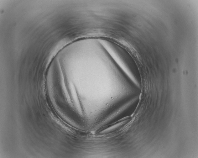 X0000072981374200608111730