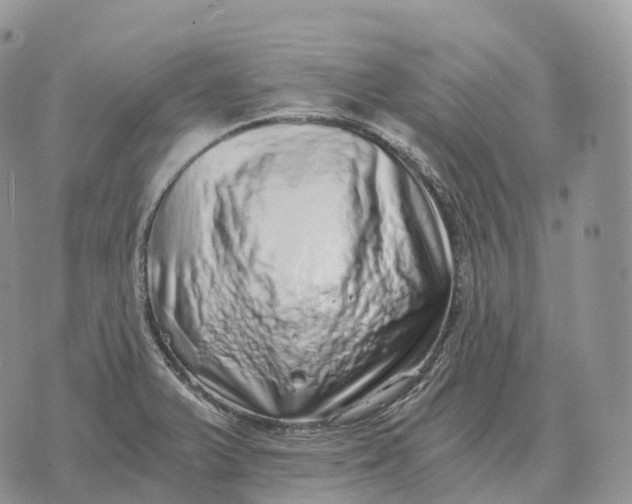 X0000072981375200608111730