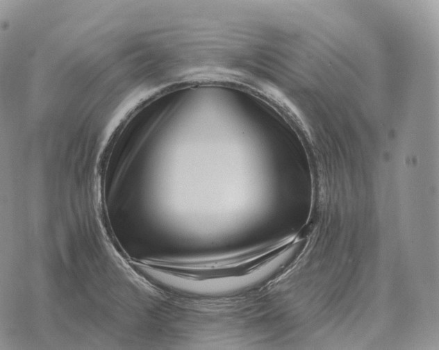 X0000072981376200608111730