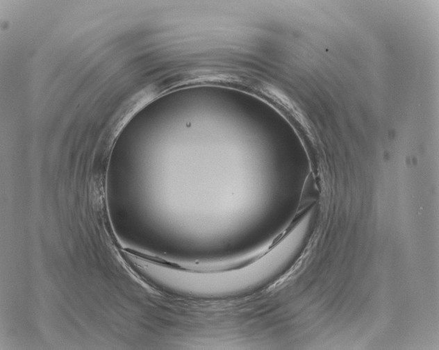 X0000072981377200608111730