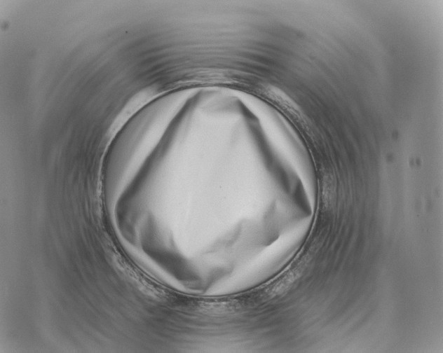 X0000072981378200608111730