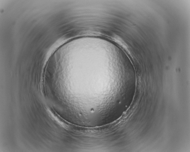 X0000072981379200608111730