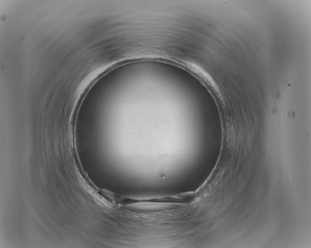 X0000072981380200608111730