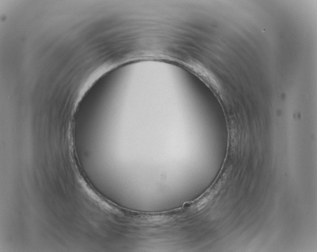 X0000072981382200608111730