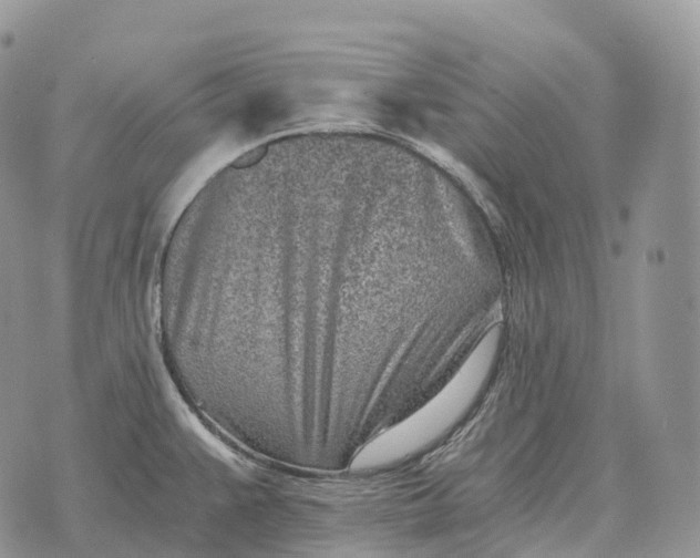 X0000072981383200608111730