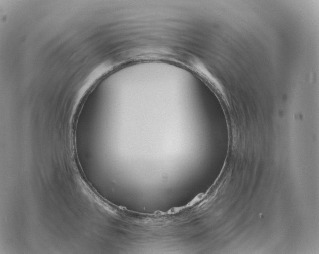 X0000072981384200608111730