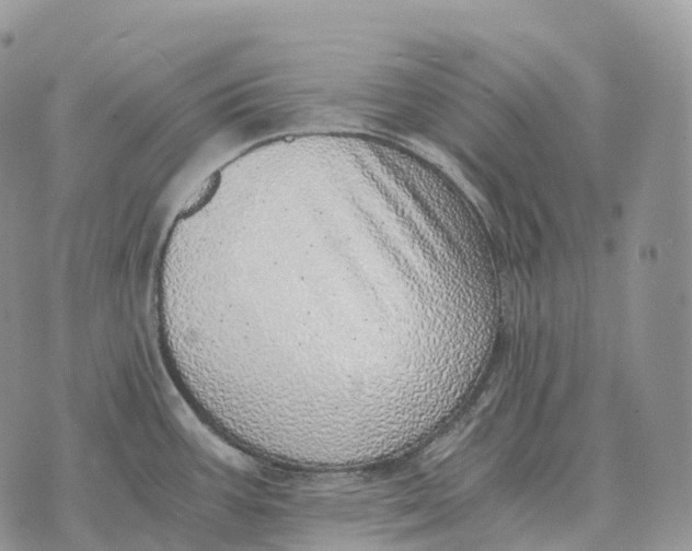 X0000072981387200608111730