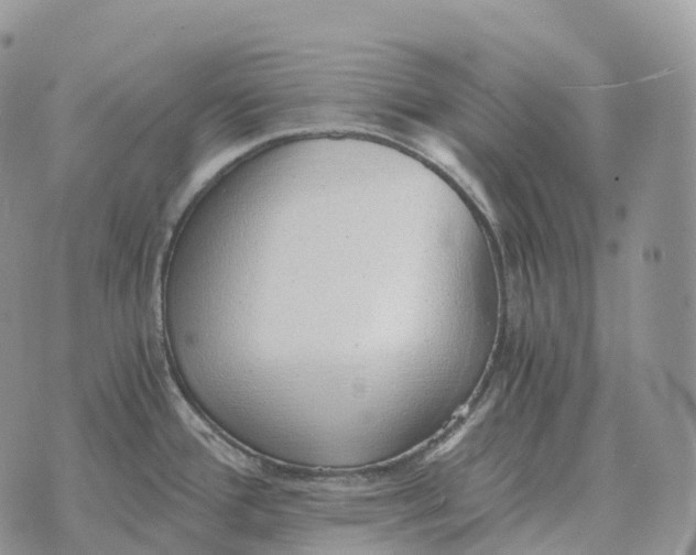 X0000072981388200608111730