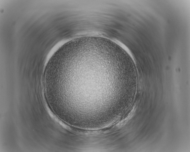 X0000072981389200608111730