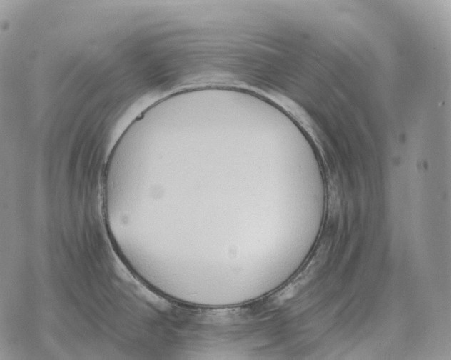 X0000072981390200608111730