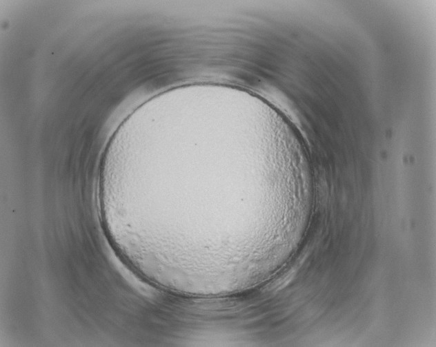 X0000072981391200608111730