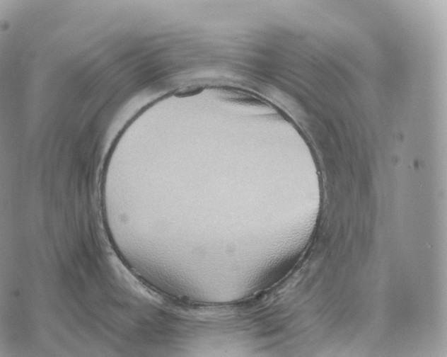 X0000072981392200608111730