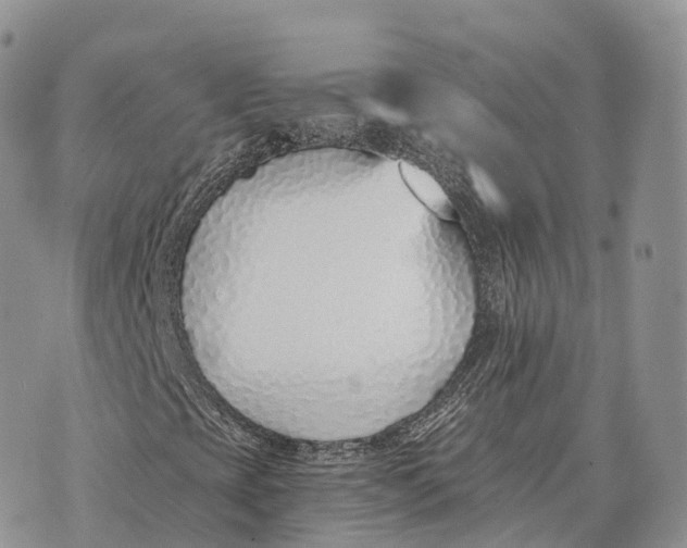 X0000072981393200608111729