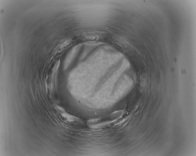 X0000072981394200608111729