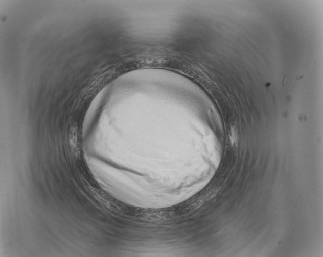 X0000072981396200608111729