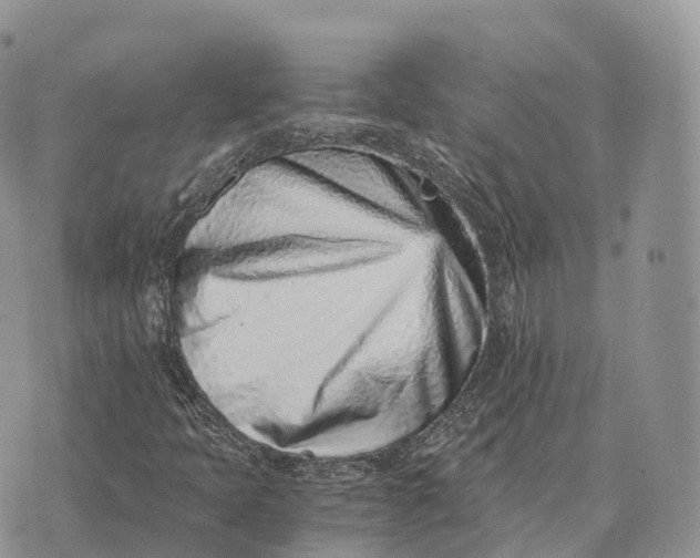 X0000072981397200608111729