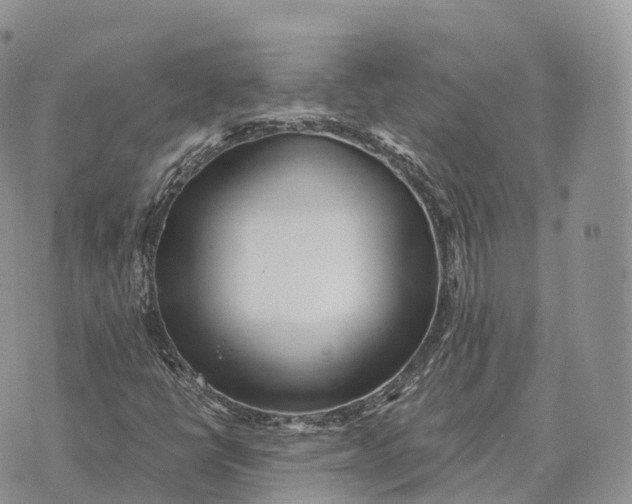 X0000072981398200608111729