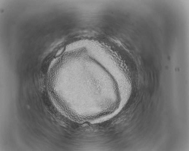 X0000072981399200608111729