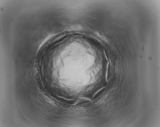 X0000072981400200608111729