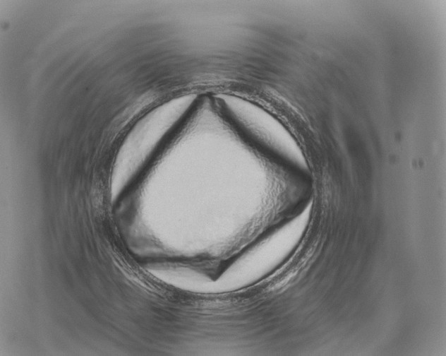 X0000072981401200608111729