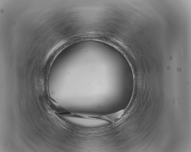 X0000072981402200608111730