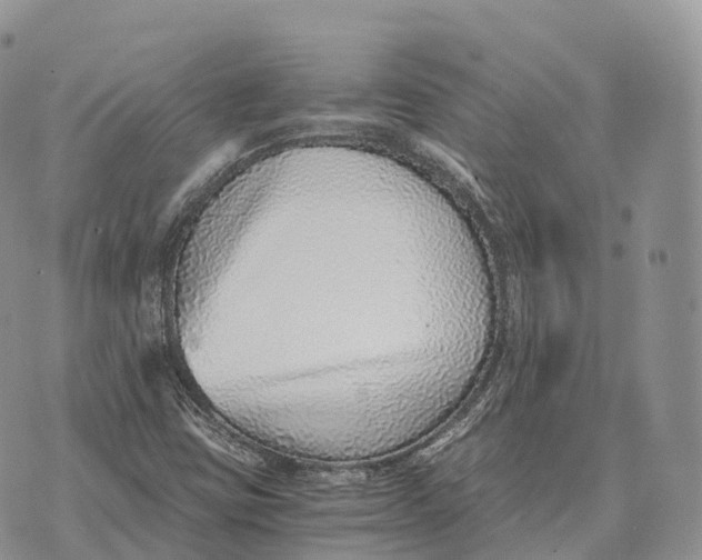 X0000072981403200608111730