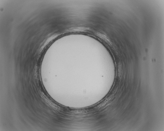 X0000072981404200608111730