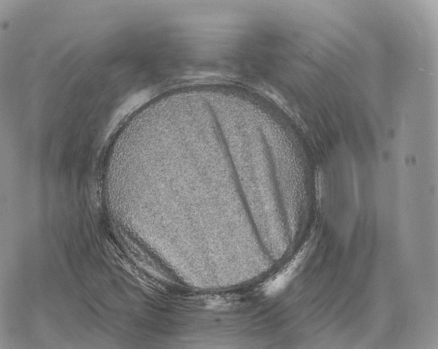 X0000072981405200608111730