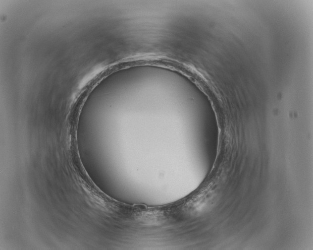 X0000072981406200608111730