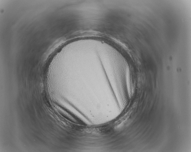 X0000072981407200608111730