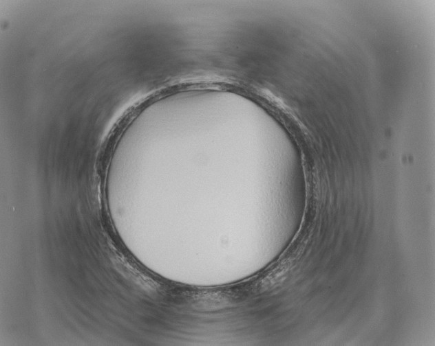 X0000072981408200608111730