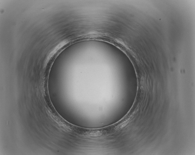 X0000072981410200608111730