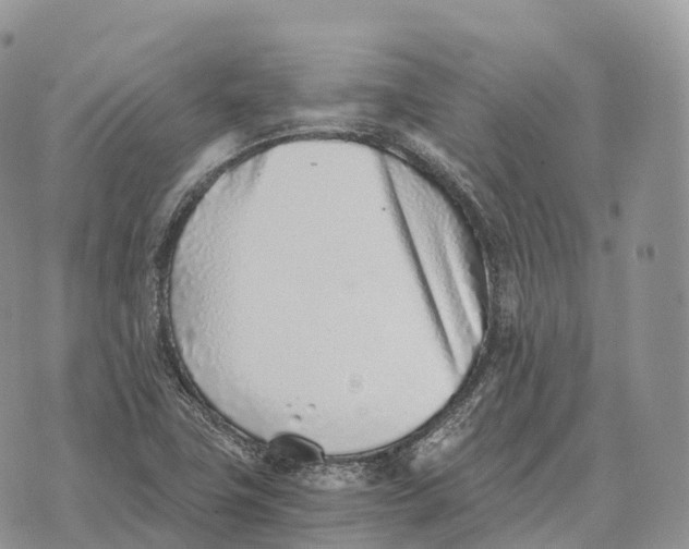 X0000072981411200608111730