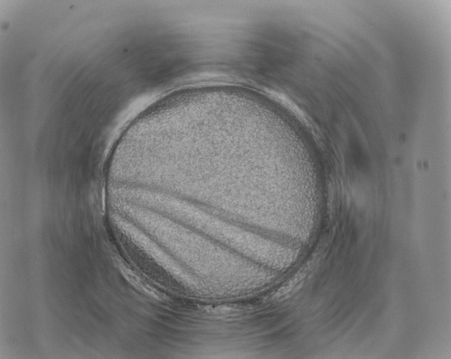 X0000072981413200608111730