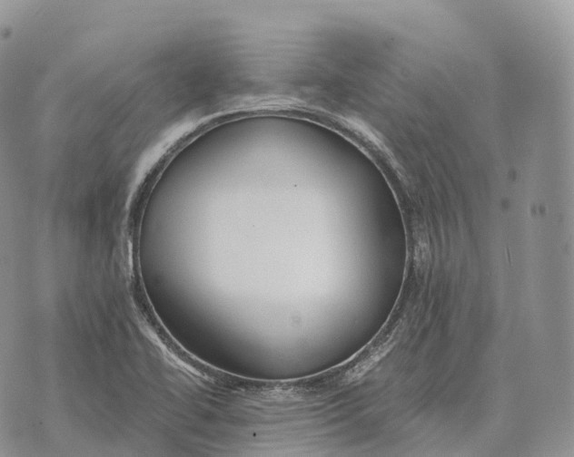 X0000072981414200608111730