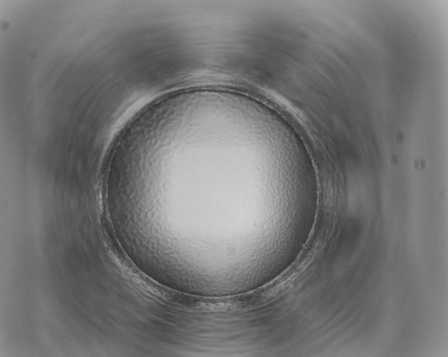 X0000072981415200608111730