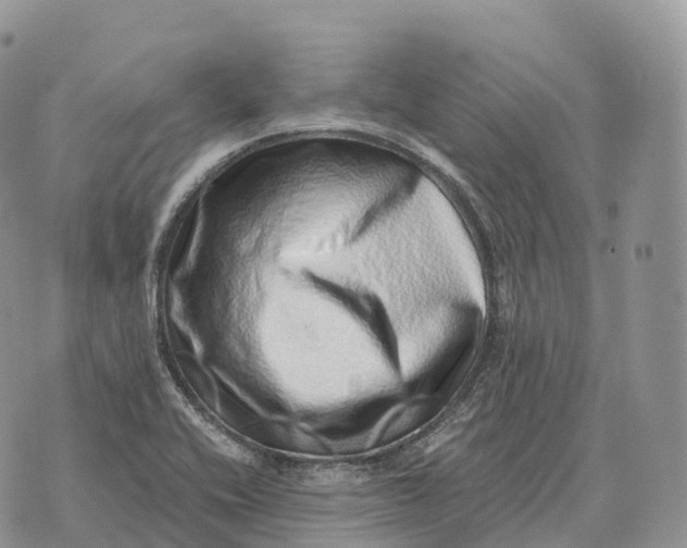 X0000072981416200608111730