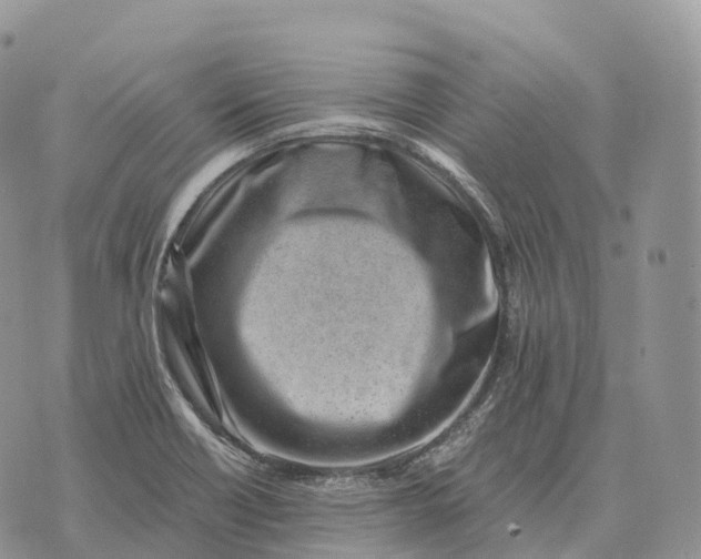 X0000072981418200608111730