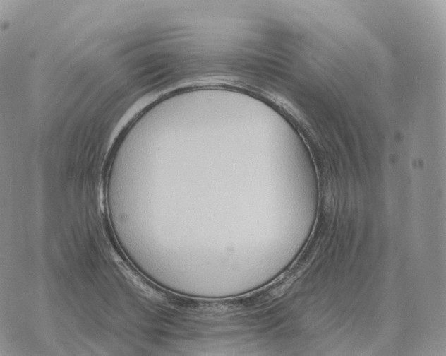 X0000072981420200608111730