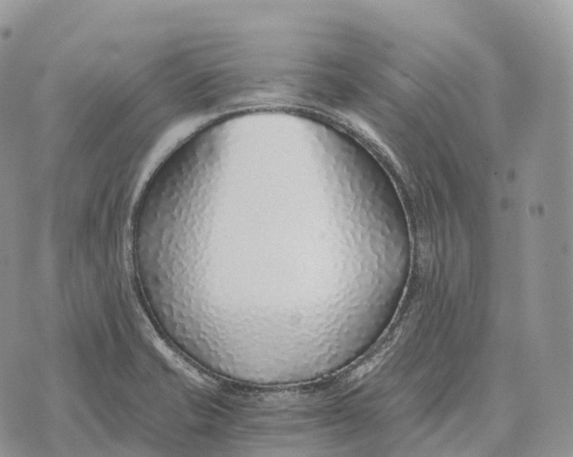 X0000072981421200608111730