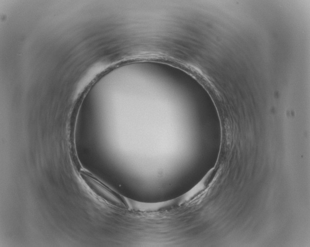 X0000072981422200608111730