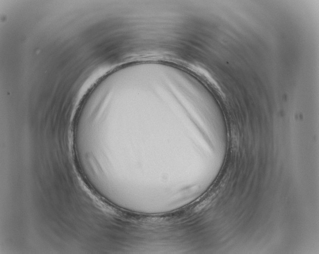 X0000072981424200608111730