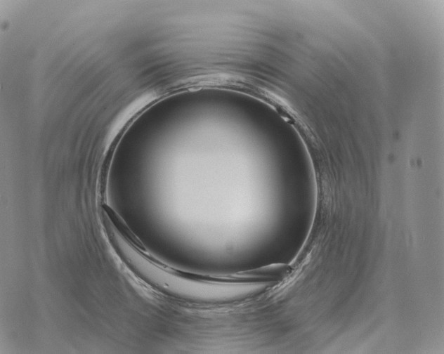 X0000072981426200608111730