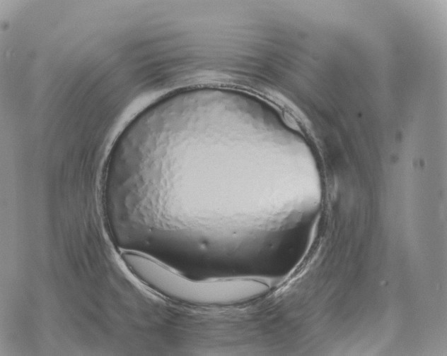 X0000072981429200608111730