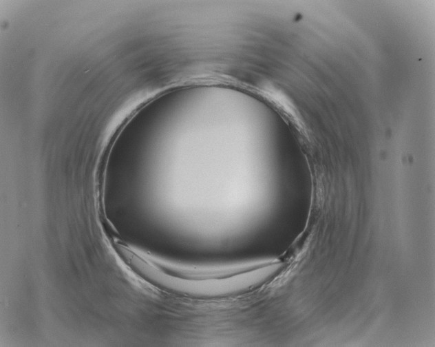 X0000072981430200608111730