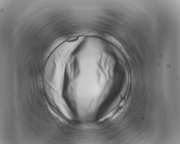 X0000072981433200608111730